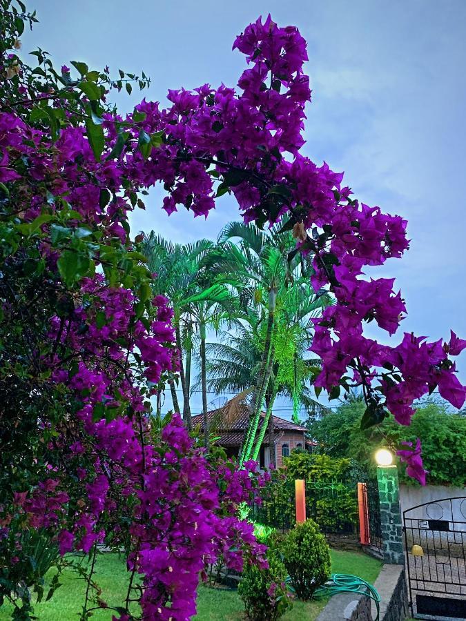 Ilhabelasul Luaran gambar
